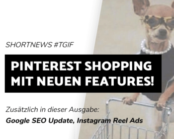 Blogbeitrag Pinterest Shopping