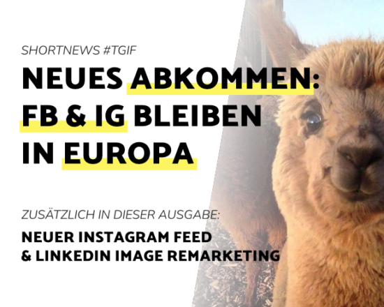 Blogbeitrag FB & IG bleiben in Europa