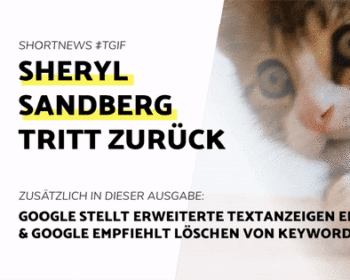 Blogbeitrag Sheryl Sandberg 2