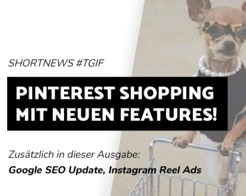 Blogbeitrag Pinterest Shopping