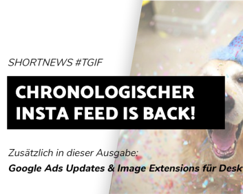 Blogbeitrag chronologischer Instagram Feed